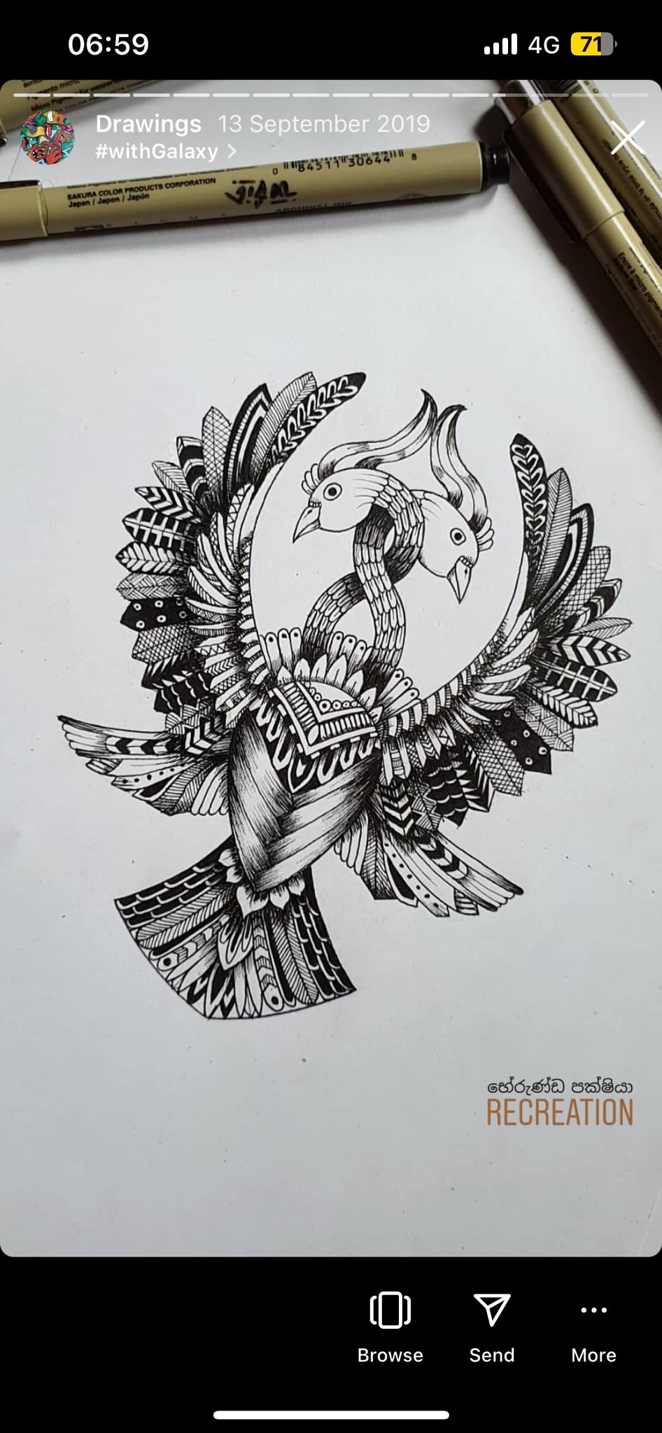 Bird illustration