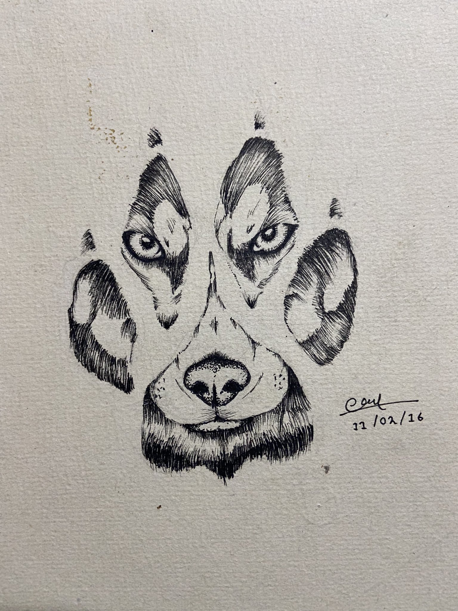 Dog illustration